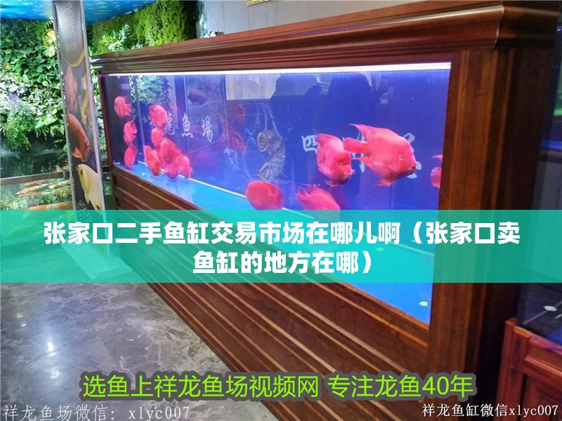 張家口二手魚缸交易市場在哪兒?。◤埣铱谫u魚缸的地方在哪）
