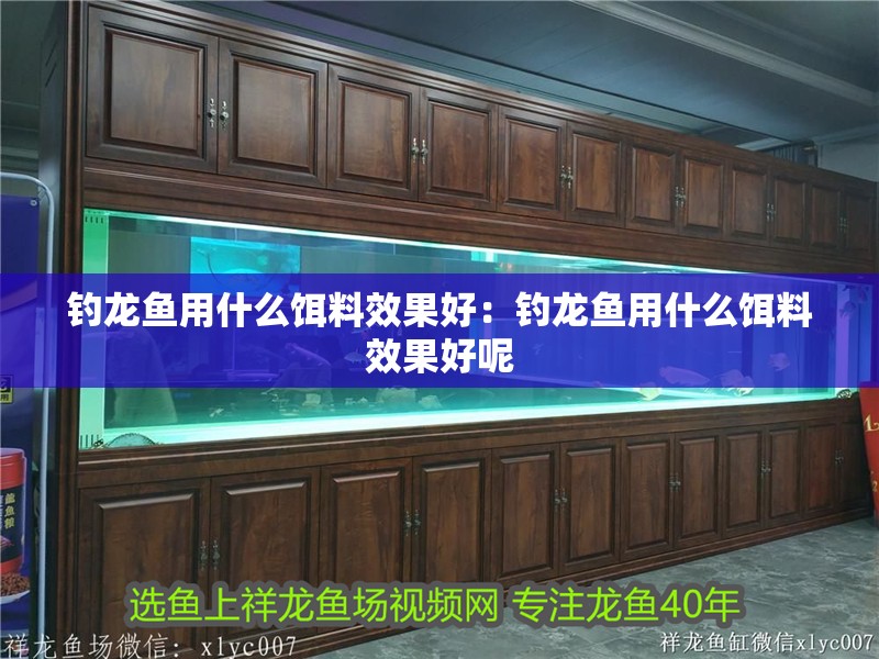 釣龍魚用什么餌料效果好：釣龍魚用什么餌料效果好呢
