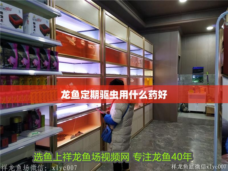 龍魚定期驅蟲用什么藥好