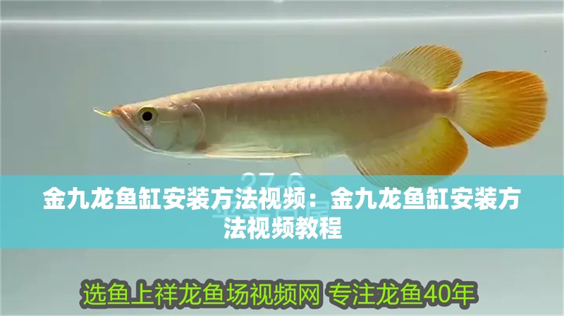金九龍魚缸安裝方法視頻：金九龍魚缸安裝方法視頻教程