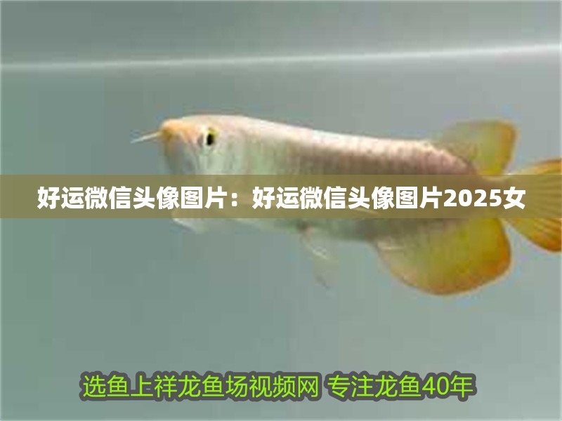 好運微信頭像圖片：好運微信頭像圖片2025女