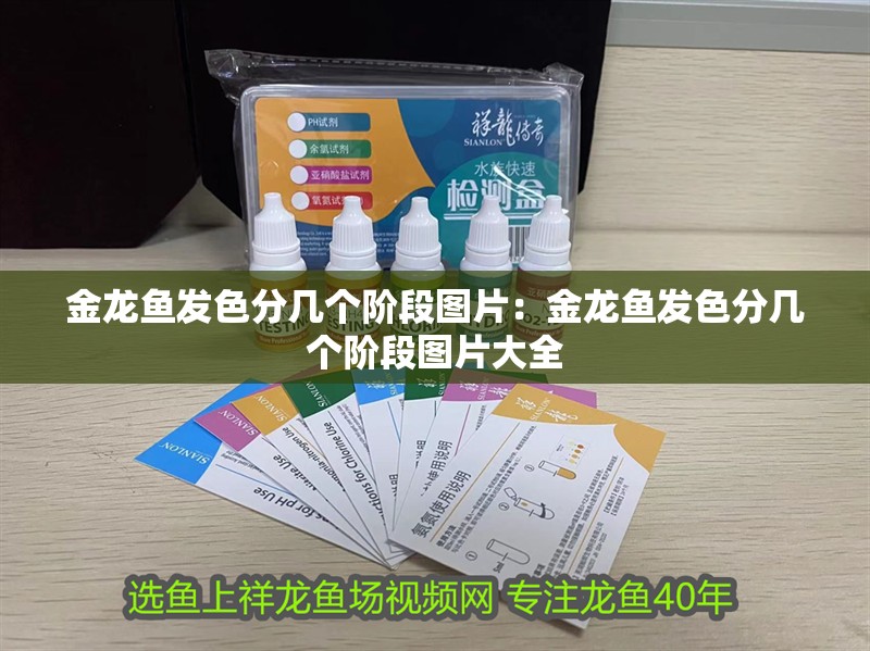 金龍魚發色分幾個階段圖片：金龍魚發色分幾個階段圖片大全