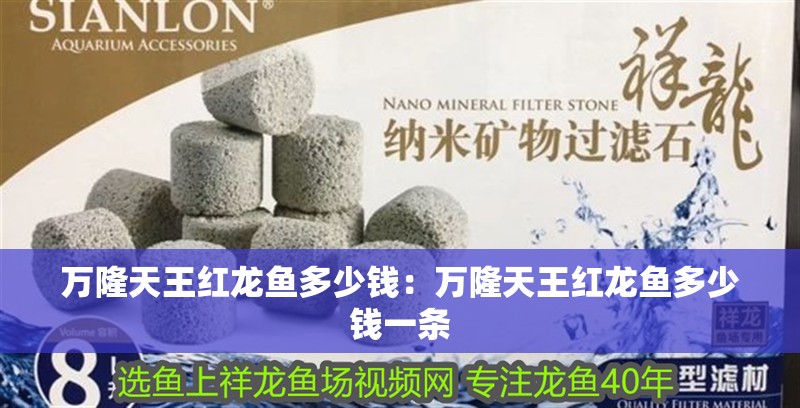 萬隆天王紅龍魚多少錢：萬隆天王紅龍魚多少錢一條