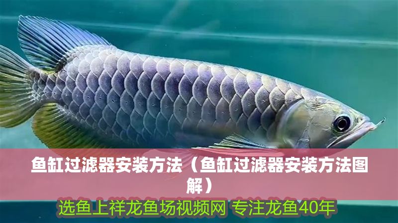 魚缸過濾器安裝方法（魚缸過濾器安裝方法圖解）
