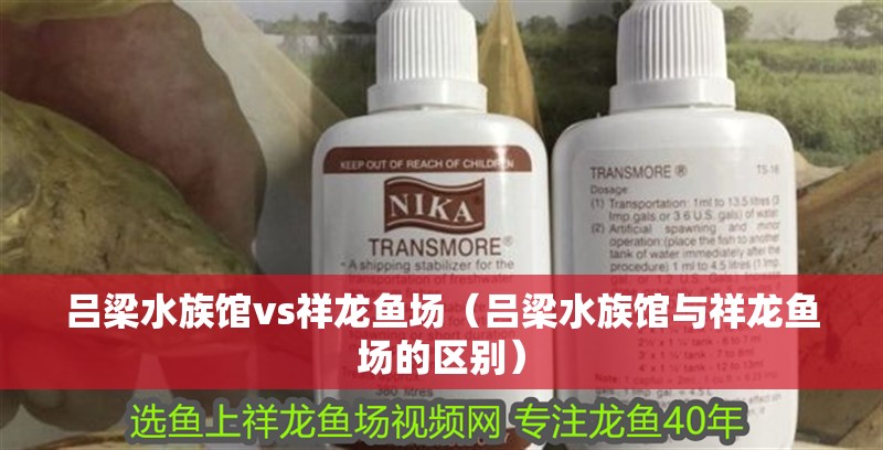 呂梁水族館vs祥龍魚場（呂梁水族館與祥龍魚場的區別） 呂梁水族館vs祥龍魚場（呂梁水族館與祥龍魚場的區別） 全國水族館企業名錄 第1張