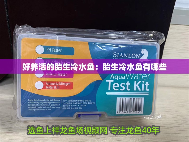好養活的胎生冷水魚：胎生冷水魚有哪些