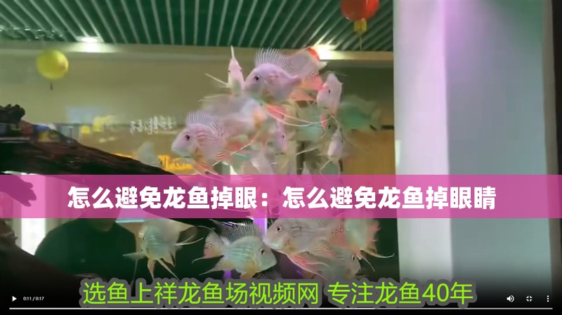 怎么避免龍魚掉眼：怎么避免龍魚掉眼睛