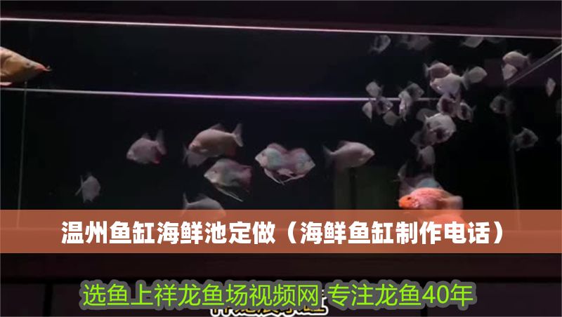 溫州魚缸海鮮池定做（海鮮魚缸制作電話）
