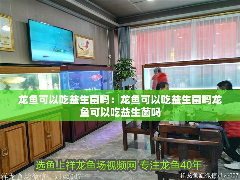 龍魚可以吃益生菌嗎：龍魚可以吃益生菌嗎龍魚可以吃益生菌嗎