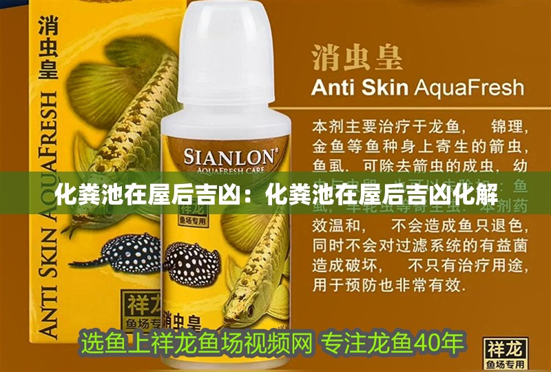 化糞池在屋后吉兇：化糞池在屋后吉兇化解