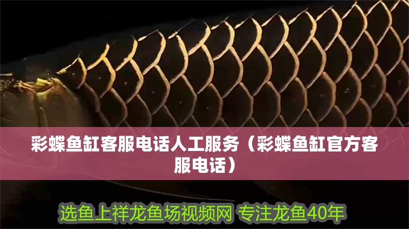 彩蝶魚缸客服電話人工服務（彩蝶魚缸官方客服電話）