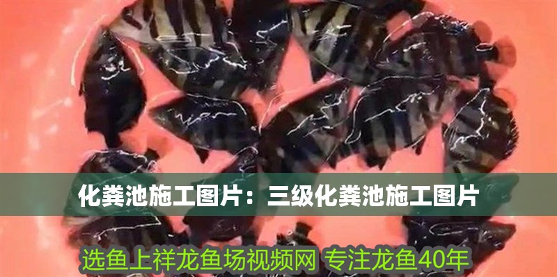 化糞池施工圖片：三級化糞池施工圖片