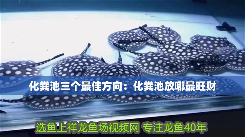 化糞池三個最佳方向：化糞池放哪最旺財