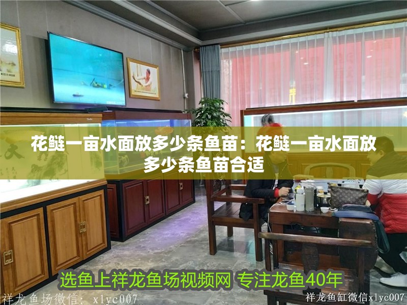 花鰱一畝水面放多少條魚苗：花鰱一畝水面放多少條魚苗合適