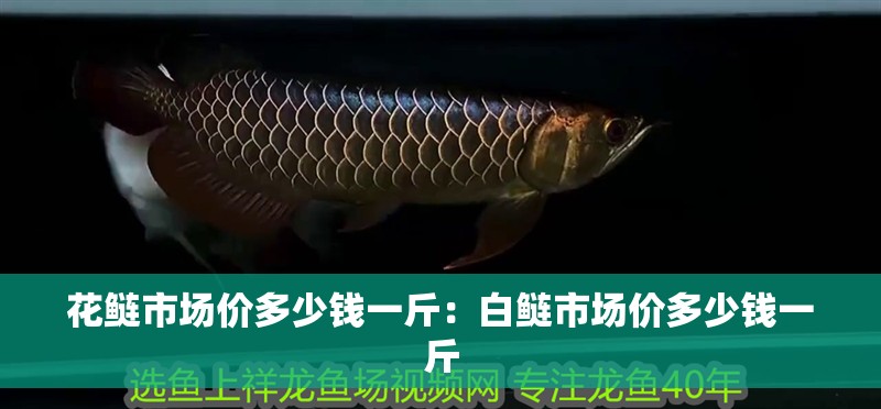 花鰱市場價多少錢一斤：白鰱市場價多少錢一斤