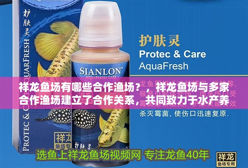 魚缸過濾器選購指南:自制魚缸過濾器魚缸上置過濾器對于養魚愛好者的必備知識 祥龍魚場有哪些合作漁場?,祥龍魚場與多家合作漁場建立了合作關系,共同致力于水產養殖和漁業發展 龍魚百科 祥龍魚場有哪些合作漁場?,祥龍魚場與多家合作漁場建立了合作關系,共同致力于水產養殖和漁業發展 祥龍魚場有哪些合作漁場?,祥龍魚場與多家合作漁場建立了合作關系,共同致力于水產養殖和漁業發展 龍魚百科