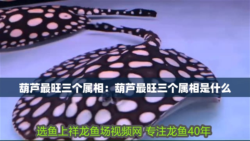 葫蘆最旺三個(gè)屬相：葫蘆最旺三個(gè)屬相是什么