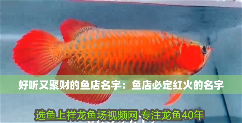 好聽(tīng)又聚財(cái)?shù)聂~店名字：魚店必定紅火的名字