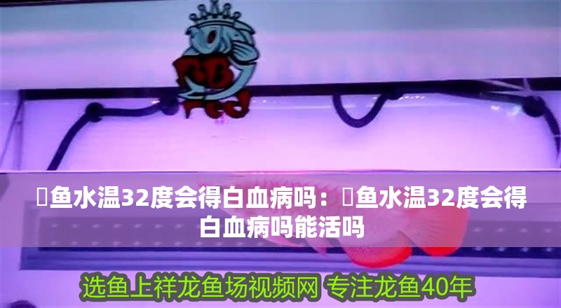 魟魚水溫32度會得白血病嗎：魟魚水溫32度會得白血病嗎能活嗎