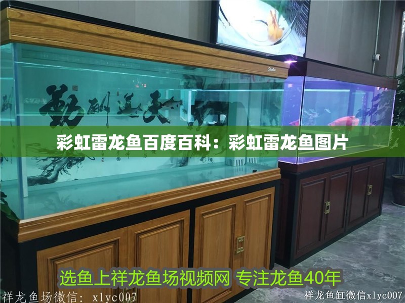 彩虹雷龍魚百度百科：彩虹雷龍魚圖片