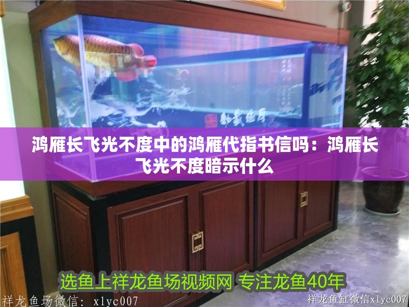 鴻雁長飛光不度中的鴻雁代指書信嗎:鴻雁長飛光不度暗示什么 龍魚百科 第1張 鴻雁長飛光不度中的鴻雁代指書信嗎:鴻雁長飛光不度暗示什么 鴻雁長飛光不度中的鴻雁代指書信嗎:鴻雁長飛光不度暗示什么 龍魚百科 第1張