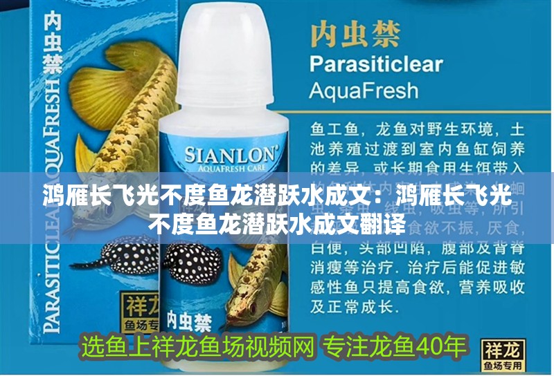 鴻雁長飛光不度魚龍潛躍水成文：鴻雁長飛光不度魚龍潛躍水成文翻譯