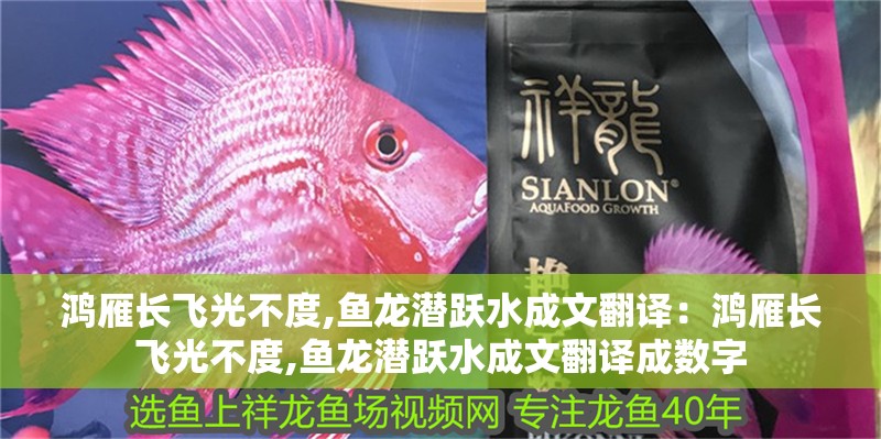 鴻雁長飛光不度,魚龍潛躍水成文翻譯：鴻雁長飛光不度,魚龍潛躍水成文翻譯成數(shù)字