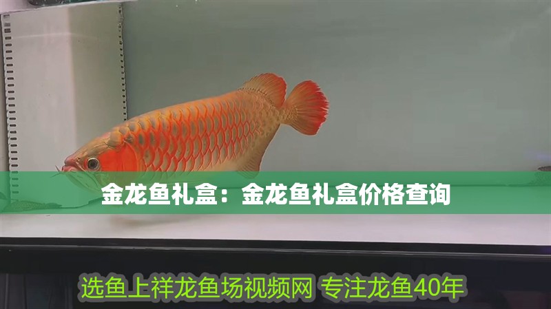 金龍魚禮盒：金龍魚禮盒價(jià)格查詢 金龍魚禮盒：金龍魚禮盒價(jià)格查詢 水族問答