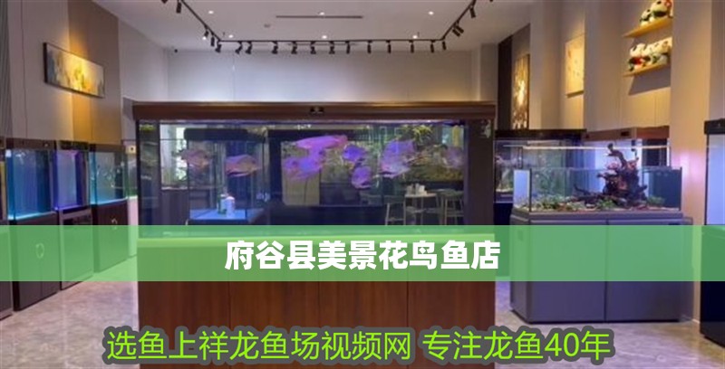 府谷縣美景花鳥魚店