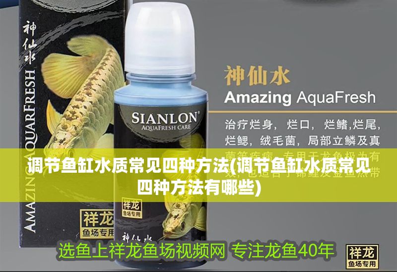 調節魚缸水質常見四種方法(調節魚缸水質常見四種方法有哪些)
