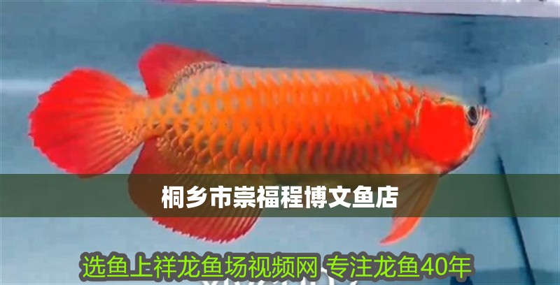 桐鄉市崇福程博文魚店