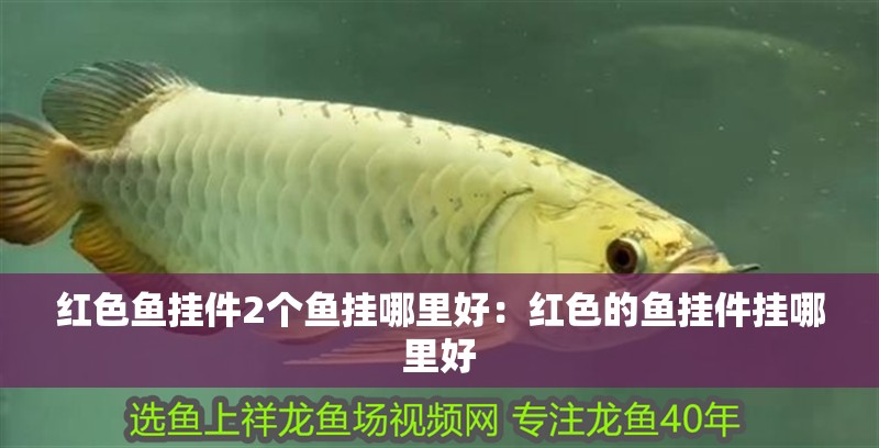 紅色魚掛件2個魚掛哪里好：紅色的魚掛件掛哪里好 紅色魚掛件2個魚掛哪里好：紅色的魚掛件掛哪里好 龍魚百科 第2張