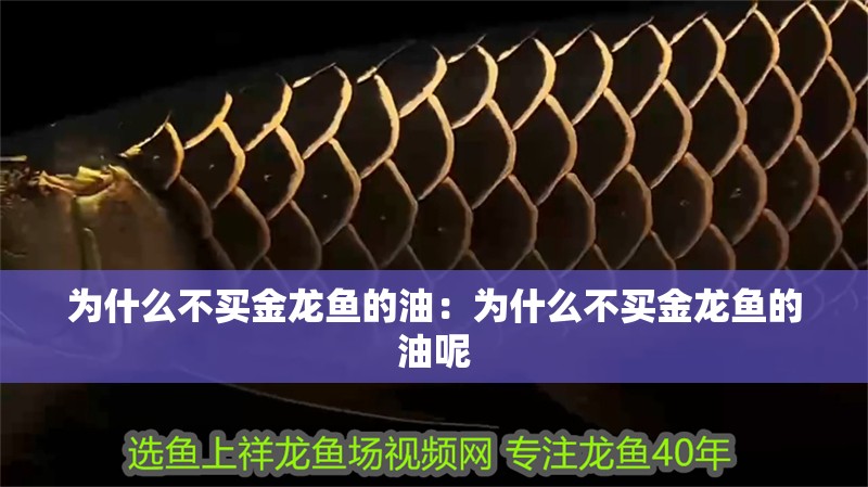 為什么不買金龍魚的油：為什么不買金龍魚的油呢