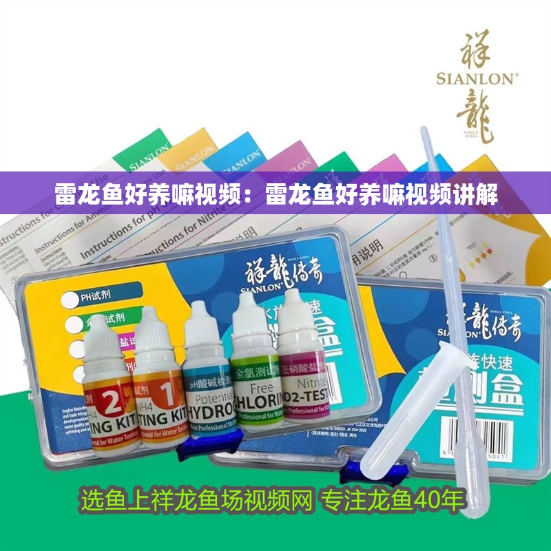 雷龍魚好養嘛視頻：雷龍魚好養嘛視頻講解 雷龍魚好養嘛視頻：雷龍魚好養嘛視頻講解 水族問答