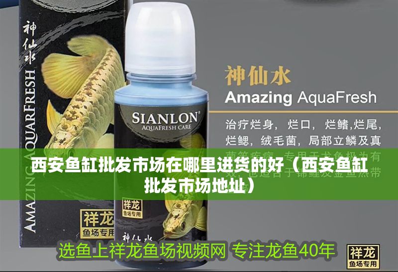 西安魚缸批發市場在哪里進貨的好（西安魚缸批發市場地址）