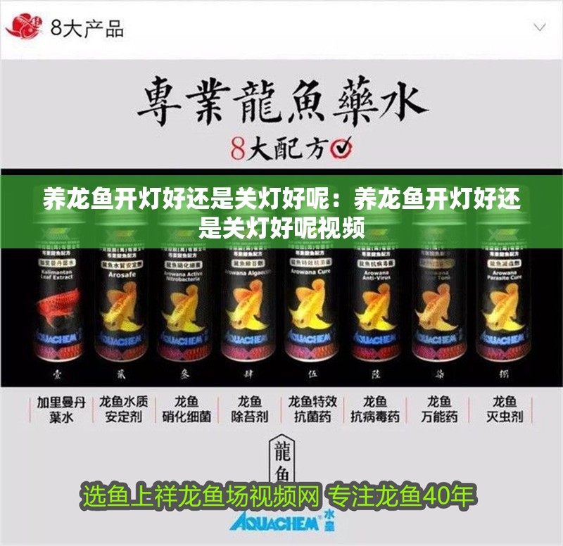 養(yǎng)龍魚開燈好還是關(guān)燈好呢：養(yǎng)龍魚開燈好還是關(guān)燈好呢視頻