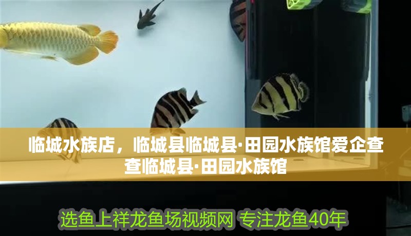 臨城水族店，臨城縣臨城縣·田園水族館愛企查查臨城縣·田園水族館