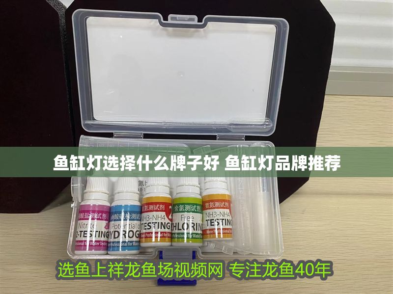 魚缸燈選擇什么牌子好 魚缸燈品牌推薦