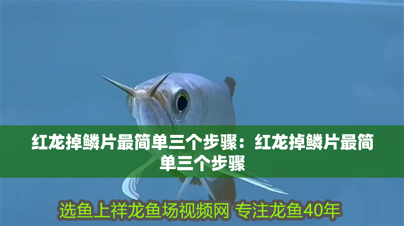 紅龍掉鱗片最簡(jiǎn)單三個(gè)步驟：紅龍掉鱗片最簡(jiǎn)單三個(gè)步驟