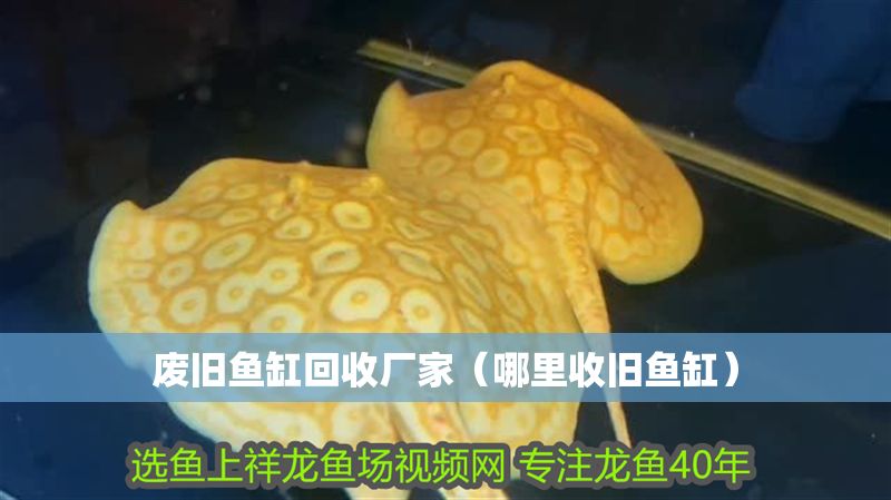 廢舊魚缸回收廠家（哪里收舊魚缸）