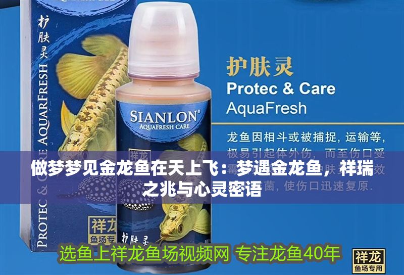 做夢夢見金龍魚在天上飛：夢遇金龍魚，祥瑞之兆與心靈密語