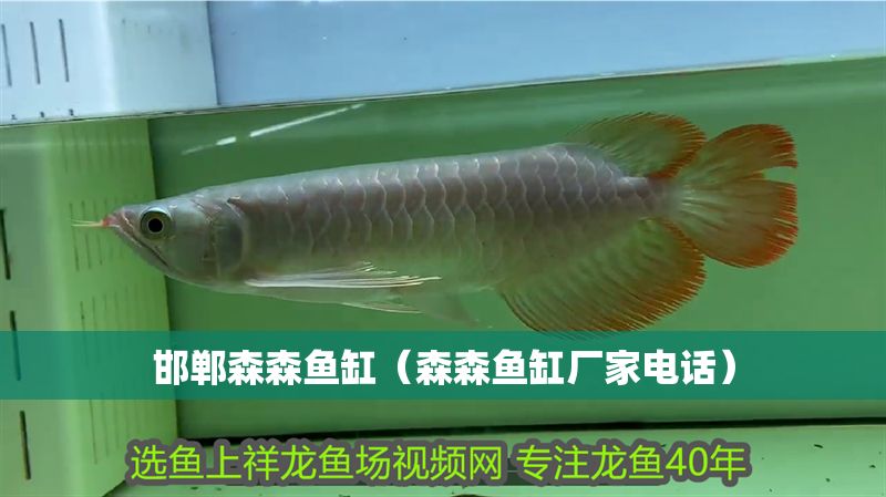 邯鄲森森魚缸（森森魚缸廠家電話）