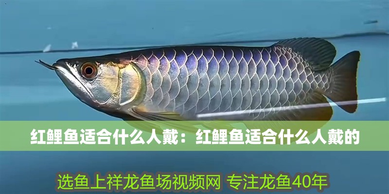 紅鯉魚適合什么人戴:紅鯉魚適合什么人戴的