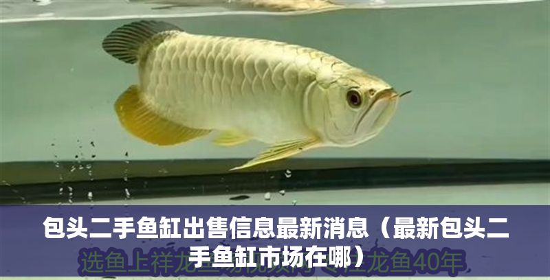 包頭二手魚缸出售信息最新消息（最新包頭二手魚缸市場在哪）