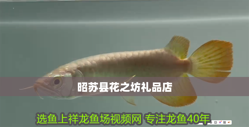 昭蘇縣花之坊禮品店