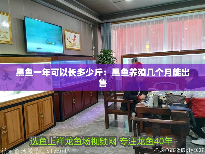 黑魚一年可以長多少斤：黑魚養殖幾個月能出售 黑魚一年可以長多少斤：黑魚養殖幾個月能出售 龍魚百科 第1張