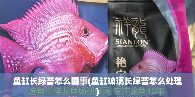 魚缸長綠苔怎么回事(魚缸玻璃長綠苔怎么處理)