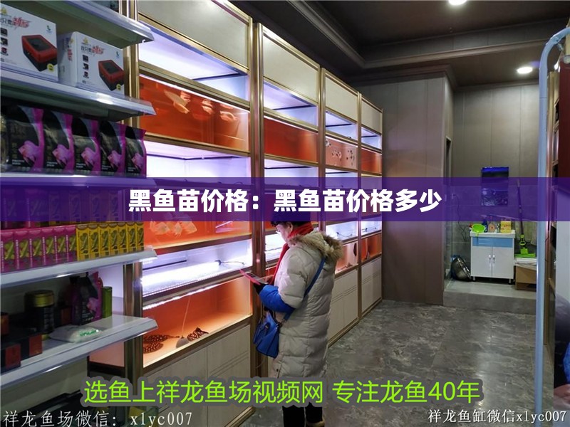 黑魚苗價格：黑魚苗價格多少 黑魚苗價格：黑魚苗價格多少 龍魚百科 第1張