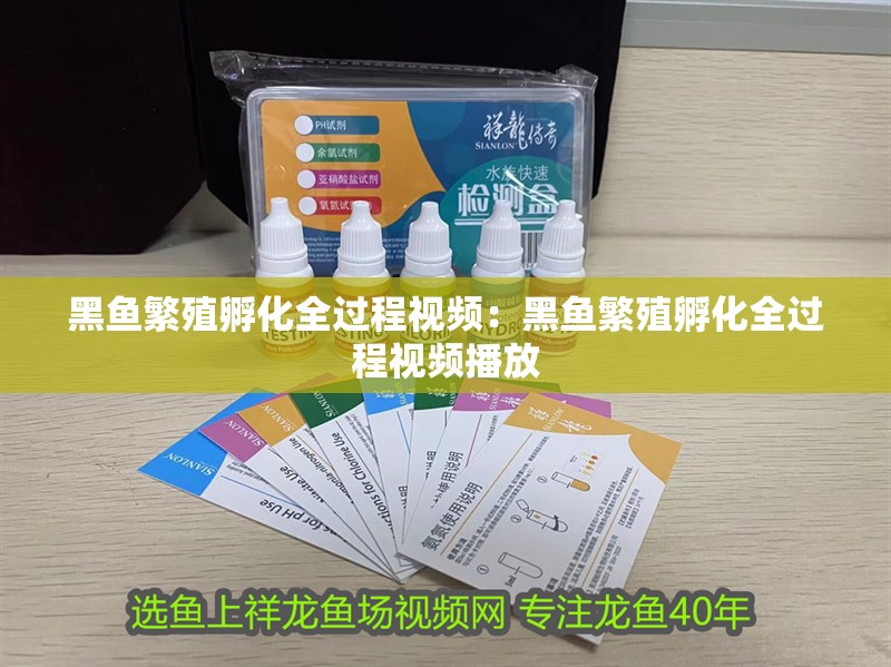 黑魚繁殖孵化全過程視頻：黑魚繁殖孵化全過程視頻播放 黑魚繁殖孵化全過程視頻：黑魚繁殖孵化全過程視頻播放 龍魚百科 第2張