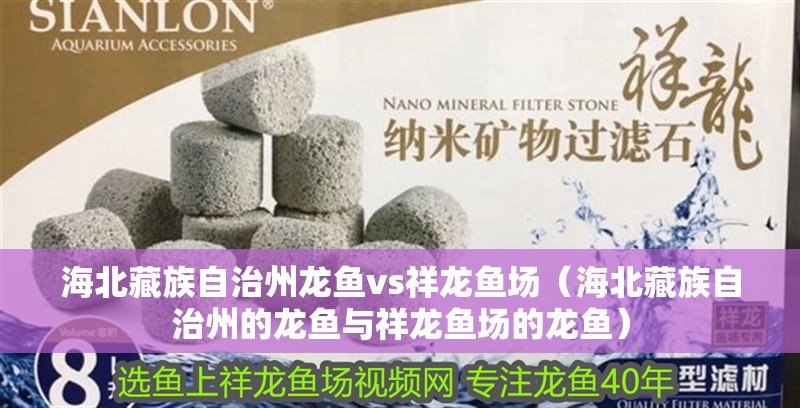 海北藏族自治州龍魚vs祥龍魚場（海北藏族自治州的龍魚與祥龍魚場的龍魚）